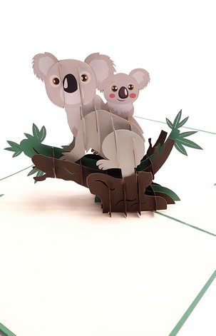 3D Přání - Koala