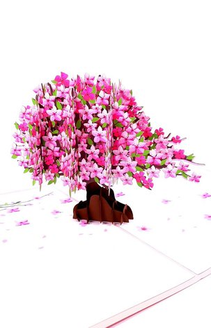 3D Přání -  Strom zdraví